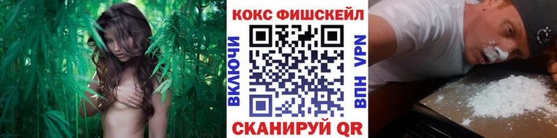 хочу наркоту Нестеровская Cocaine Эквадор