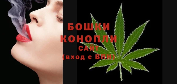 apvp Краснослободск
