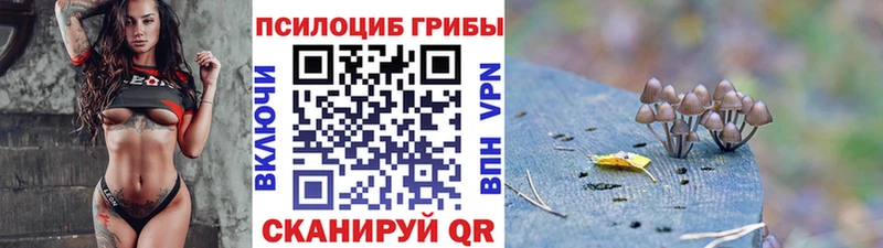 mega   Нестеровская  Псилоцибиновые грибы ЛСД  цена  